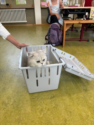 Foto des Albums: Tierischer Besuch im Schulhaus in Wollbach