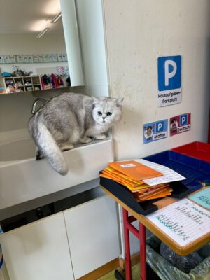 Foto des Albums: Tierischer Besuch im Schulhaus in Wollbach