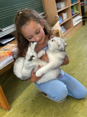 Foto des Albums: Tierischer Besuch im Schulhaus in Wollbach