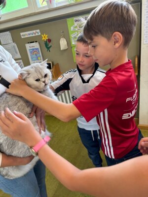 Foto des Albums: Tierischer Besuch im Schulhaus in Wollbach