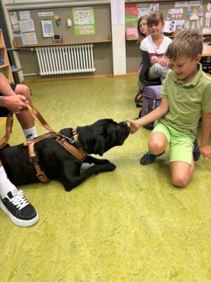 Foto des Albums: Tierischer Besuch im Schulhaus in Wollbach