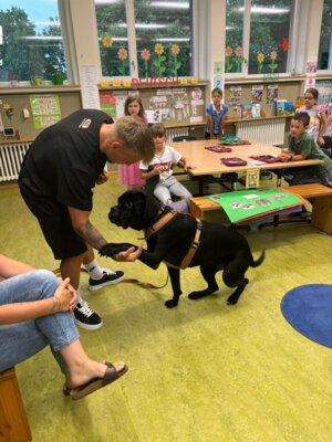 Foto des Albums: Tierischer Besuch im Schulhaus in Wollbach