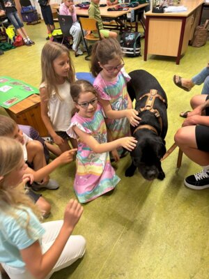 Foto des Albums: Tierischer Besuch im Schulhaus in Wollbach