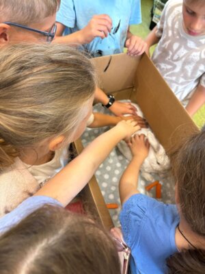 Foto des Albums: Tierischer Besuch im Schulhaus in Wollbach