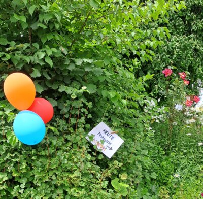 Ballon zeigten den Weg auch zu den St&auml;nden im Fichenwegmitwirkenden H&ouml;fen  (Bild vergr&ouml;&szlig;ern)