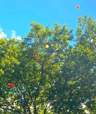 Luftballons fliegen  (Bild vergr&ouml;&szlig;ern)