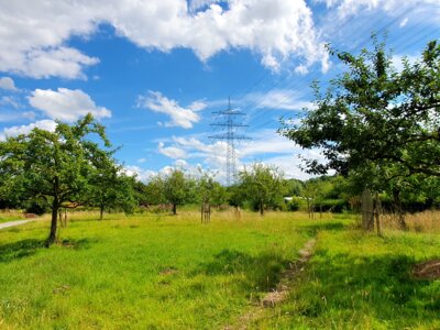 Die Obstwiese 