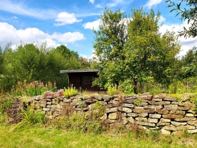 Foto des Albums: Wildkräutervortrag