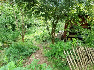 Foto des Albums: Wildkräutervortrag