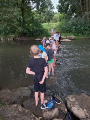 Foto des Albums: Sommerlicher Wandertag der dritten Klassen