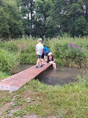 Foto des Albums: Sommerlicher Wandertag der dritten Klassen