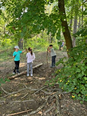 Foto des Albums: Abschlusswanderung der zweiten Klassen
