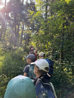 Foto des Albums: Abschlusswanderung der zweiten Klassen