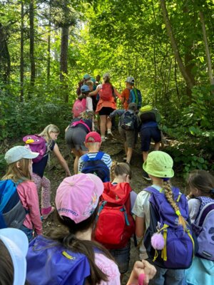 Foto des Albums: Abschlusswanderung der zweiten Klassen