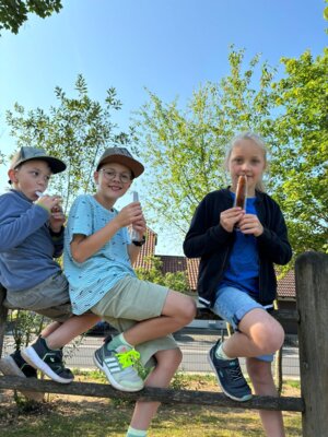 Foto des Albums: Abschlusswanderung der zweiten Klassen
