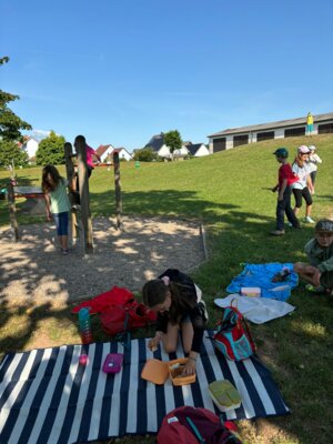 Foto des Albums: Abschlusswanderung der zweiten Klassen