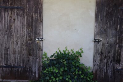 Fotoalbum Kirchgarten im Kultur|Kloster|Kyritz