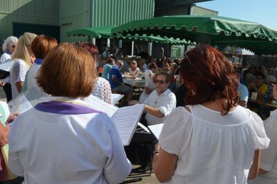 Frauenchor der Chorgemeinschaft Schweinheim  (Bild vergr&ouml;&szlig;ern)