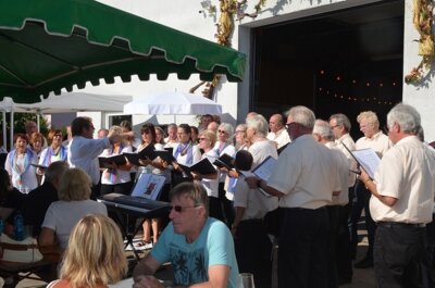 M&auml;nnerchor der Chorgemeinschaft Schweinheim  (Bild vergr&ouml;&szlig;ern)