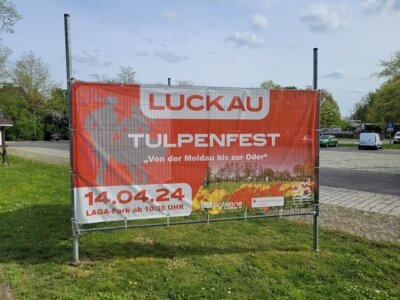 Foto des Albums: Probentage mit unseren rumänischen Freunden anlässlich des Tulpenfestes in Luckau am 14. April 2024