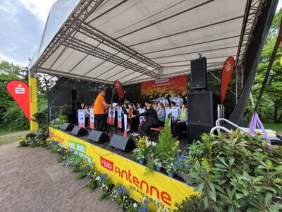 Foto des Albums: Probentage mit unseren rumänischen Freunden anlässlich des Tulpenfestes in Luckau am 14. April 2024