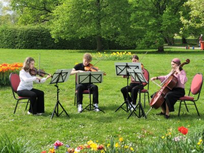 Foto des Albums: Probentage mit unseren rumänischen Freunden anlässlich des Tulpenfestes in Luckau am 14. April 2024