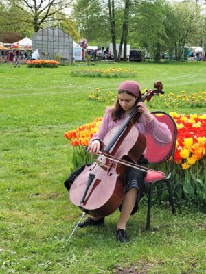 Foto des Albums: Probentage mit unseren rumänischen Freunden anlässlich des Tulpenfestes in Luckau am 14. April 2024