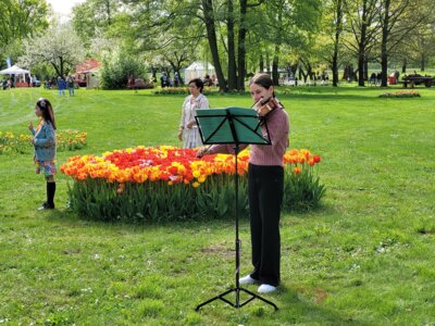 Foto des Albums: Probentage mit unseren rumänischen Freunden anlässlich des Tulpenfestes in Luckau am 14. April 2024