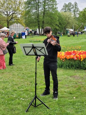 Foto des Albums: Probentage mit unseren rumänischen Freunden anlässlich des Tulpenfestes in Luckau am 14. April 2024