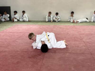 Foto des Albums: Kyu-Gürtelprüfungen Sommer 2024 beim JVU
