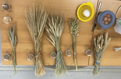 Fotoalbum Landfrauen machen Schule