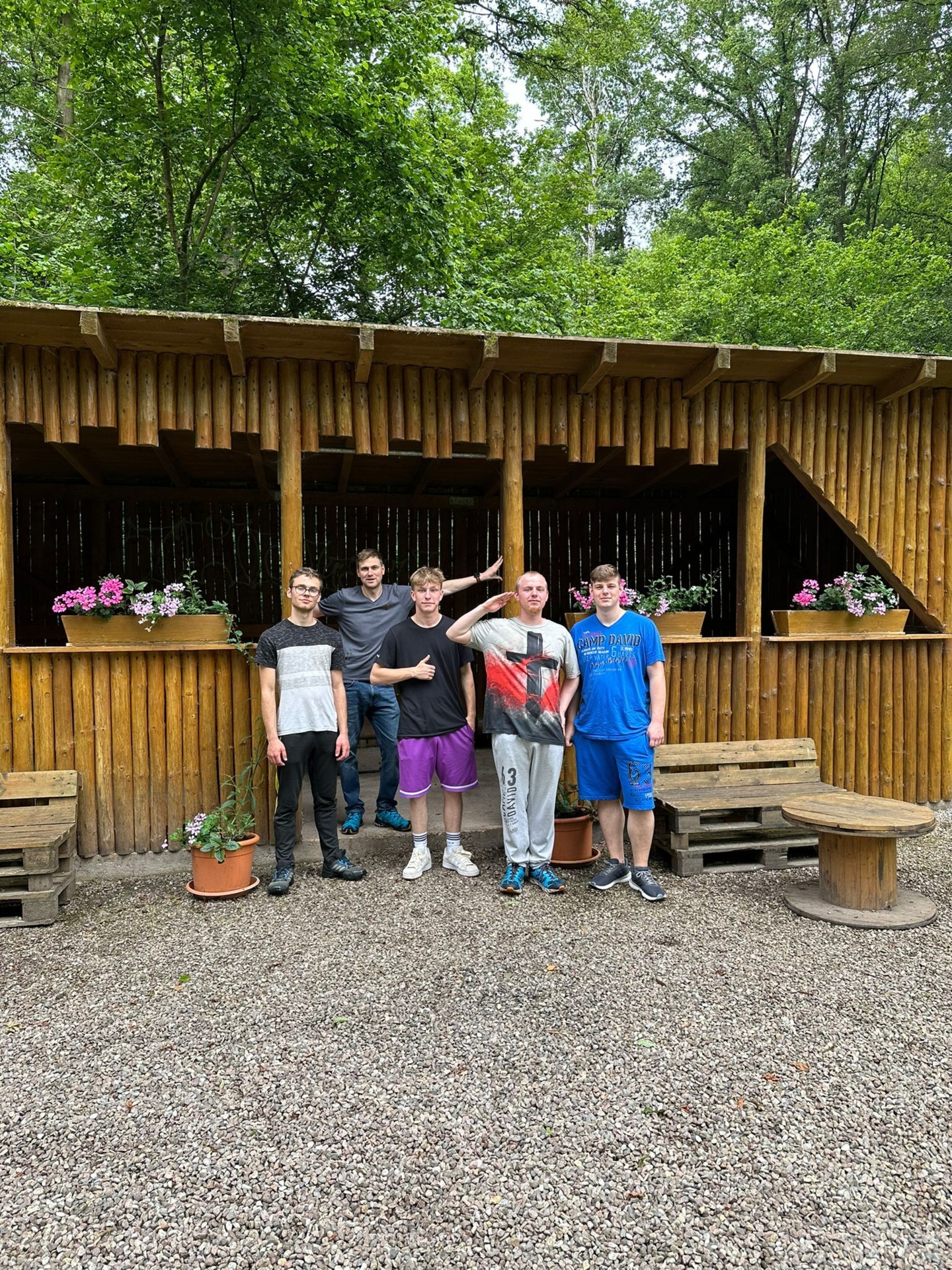 Bild der Galerie