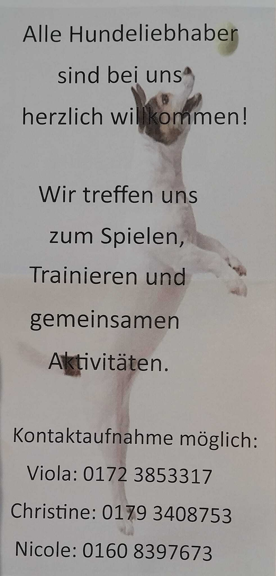 Bild der Galerie