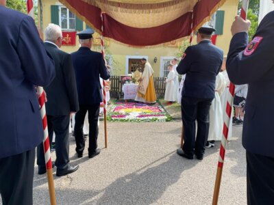 Foto des Albums: Bilder Kirchenjahr 2023/24