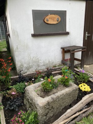 Foto des Albums: André an der Pestalozzi Schule