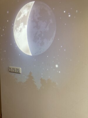 Foto des Albums: Neuausstattung des Wasserbettraum