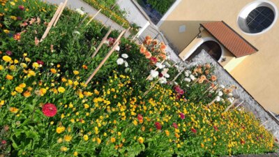 Foto des Albums: Bilder aus dem Pfarreileben