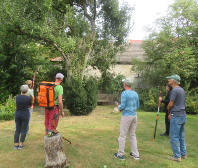 Fotoalbum Naturnahes verschneiden von Obstbäumen -  Obstbaumschnittkurs im Gemeindehaus & Pfarrgarten unter Leitung von Diethard Biermann
