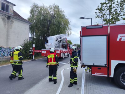 Fotoalbum 073/2024