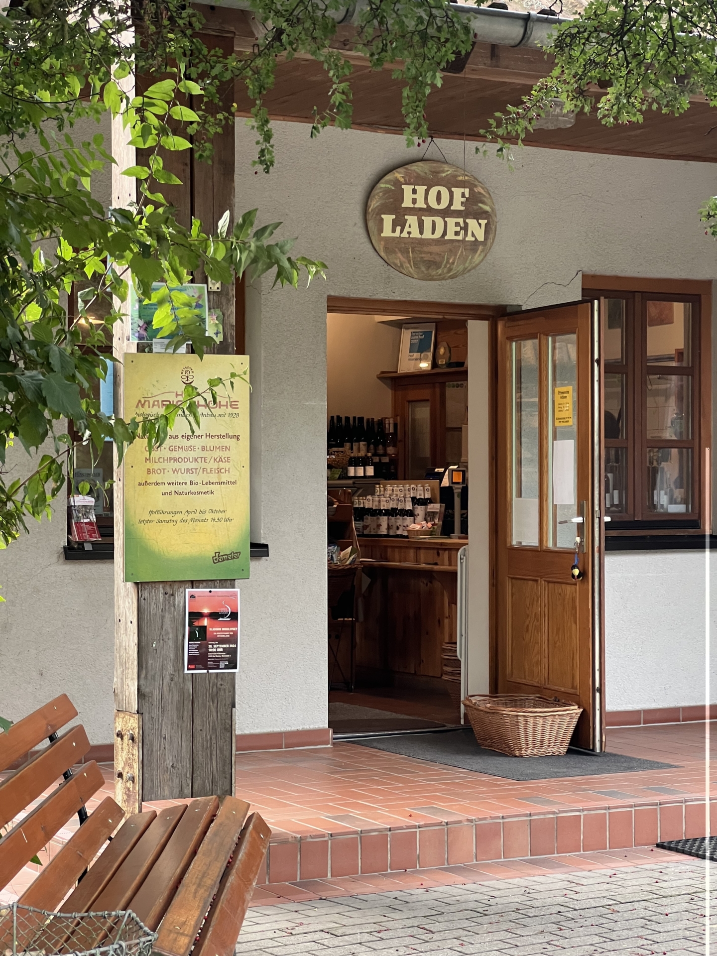 Bild der Galerie