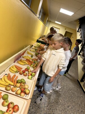 Foto des Albums: Schulobst