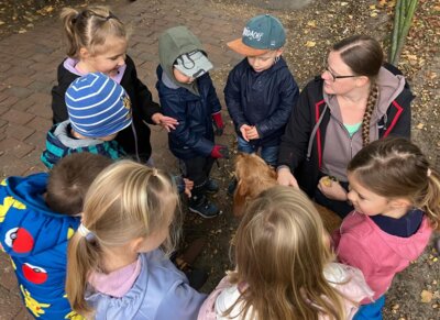 Foto des Albums: Besuch bei Bauernhof Wessels