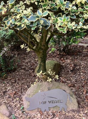 Foto des Albums: Besuch bei Bauernhof Wessels