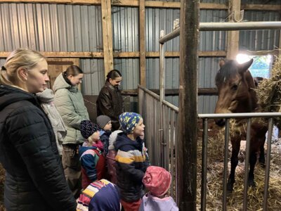 Foto des Albums: Besuch bei Bauernhof Wessels