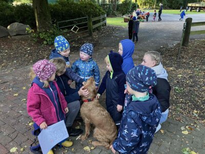 Foto des Albums: Besuch bei Bauernhof Wessels