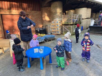 Foto des Albums: Besuch bei Bauernhof Wessels