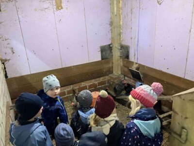 Foto des Albums: Besuch bei Bauernhof Wessels