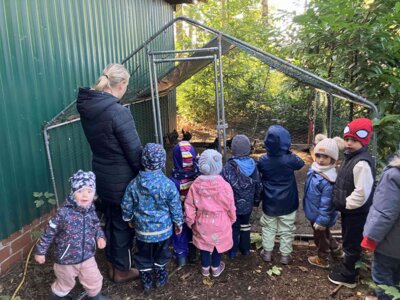 Foto des Albums: Besuch bei Bauernhof Wessels
