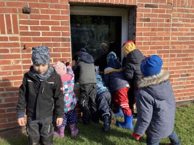 Foto des Albums: Besuch bei Bauernhof Wessels