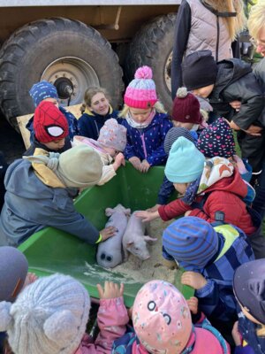 Foto des Albums: Besuch bei Bauernhof Wessels